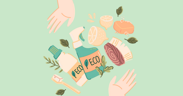 10 Simple Swaps to Make Your Home More Eco-Friendly