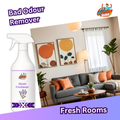 Lavender Room Freshener featured in a cozy, well-lit living room, with label ‘Bad Odour Remover – Fresh Rooms