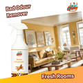 Mysore Sandalwood Room Freshener featured in a cozy, well-lit living room, with label ‘Bad Odour Remover – Fresh Rooms